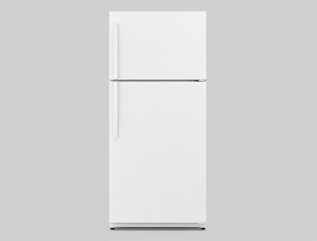 Westinghouse WHE5200BA refrigeration photographed on a light studio background